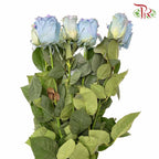 Rose Seahorse (8-10 Stems) - Pudu Ria Florist Southern
