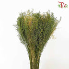 Dry Bouquet - White And Green - Pudu Ria Florist Southern
