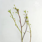 Deng Tai - Pudu Ria Florist Southern