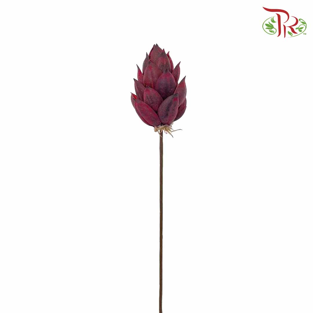 Dry Phoenix Tree Bud - Maroon - Pudu Ria Florist Southern