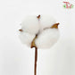 Artificial Cotton Flower - White