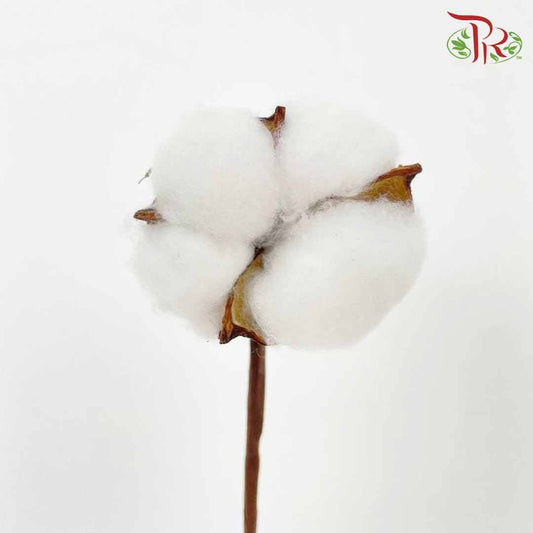 Artificial Cotton Flower - White - Pudu Ria Florist Southern