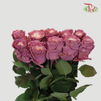 Rose Mondial Dyed Dusty 2 (8-10 Stems) - Pudu Ria Florist Southern