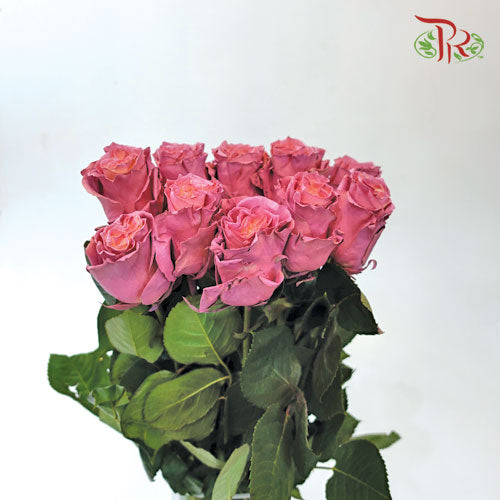 Rose Dusty (8-10 Stems) - Pudu Ria Florist Southern