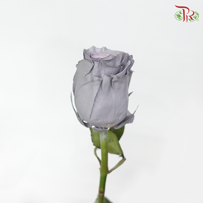 Rose Dusty Grey 2 (8-10 Stems) - Pudu Ria Florist Southern