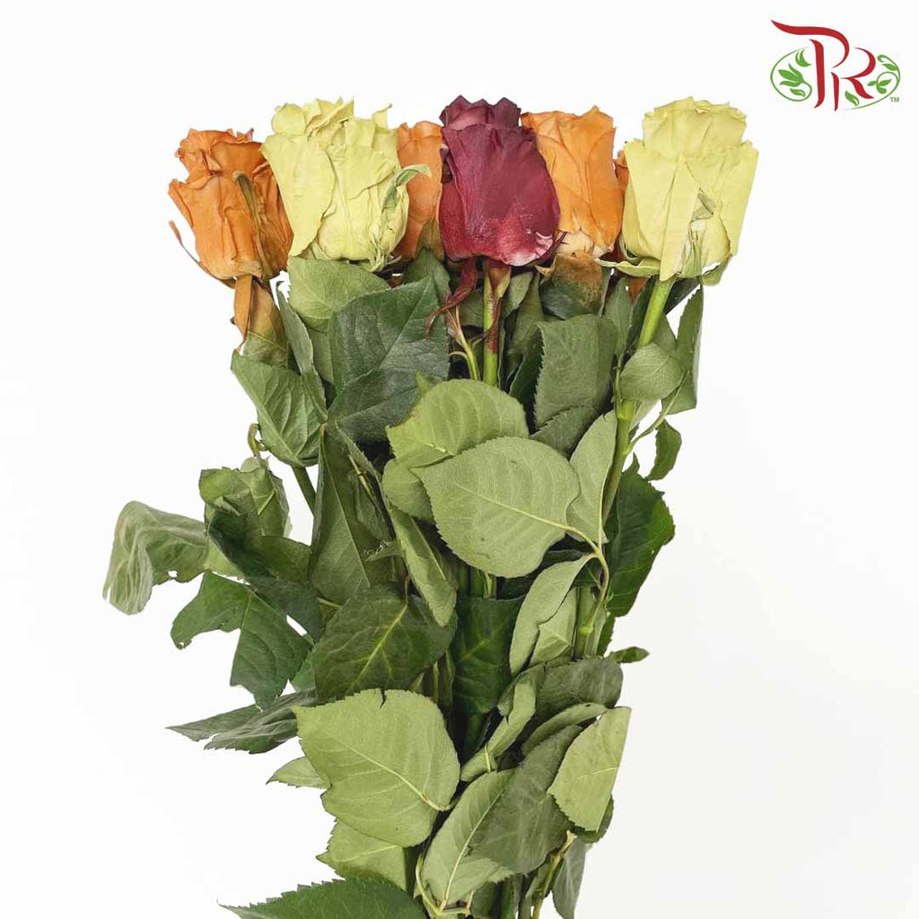 Rose Fall Mix3 (8-10 Stems) - Pudu Ria Florist Southern