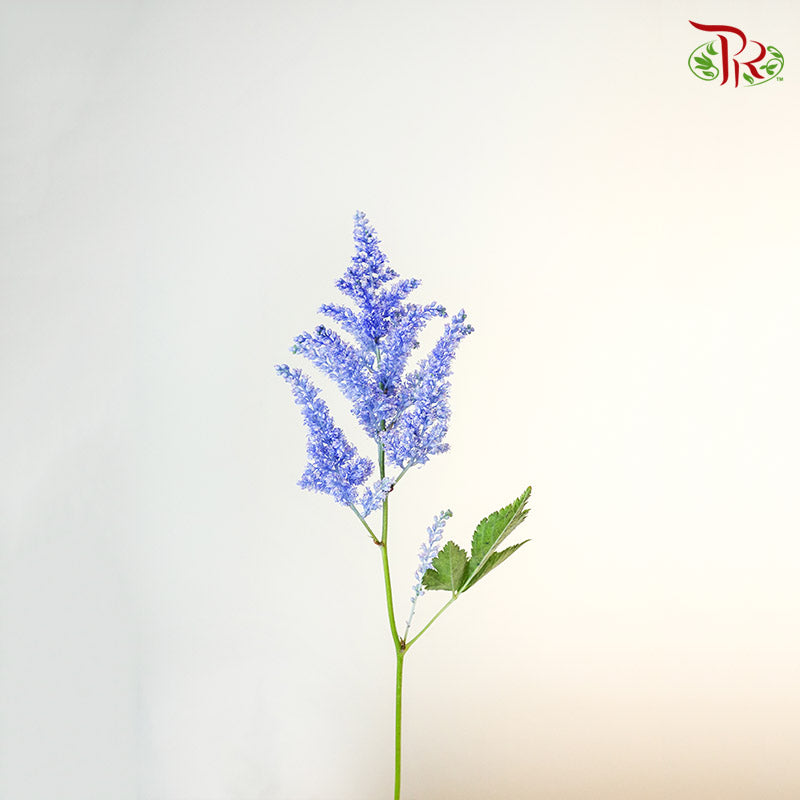 Astilbe Blue (4-5 Stems) - Pudu Ria Florist Southern