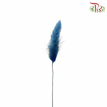 Dry Lagurus (Bunny Tails) - Blue - Pudu Ria Florist Southern