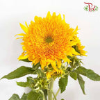 Sunflower Teddy Bear / Per Stem - Pudu Ria Florist Southern