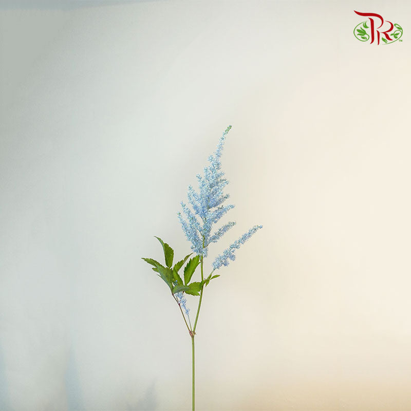 Astilbe Light Blue (4-5 Stems) - Pudu Ria Florist Southern