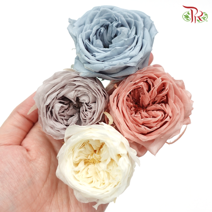 Preservative Rose Temari - Mixed Color (8 Blooms) - Pudu Ria Florist Southern