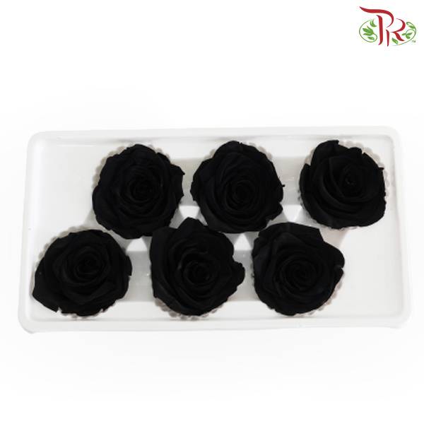 6 Bloom Preservative Rose - Black - Pudu Ria Florist Southern