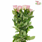 Rose Roselle (8-10 Stems) - Pudu Ria Florist Southern