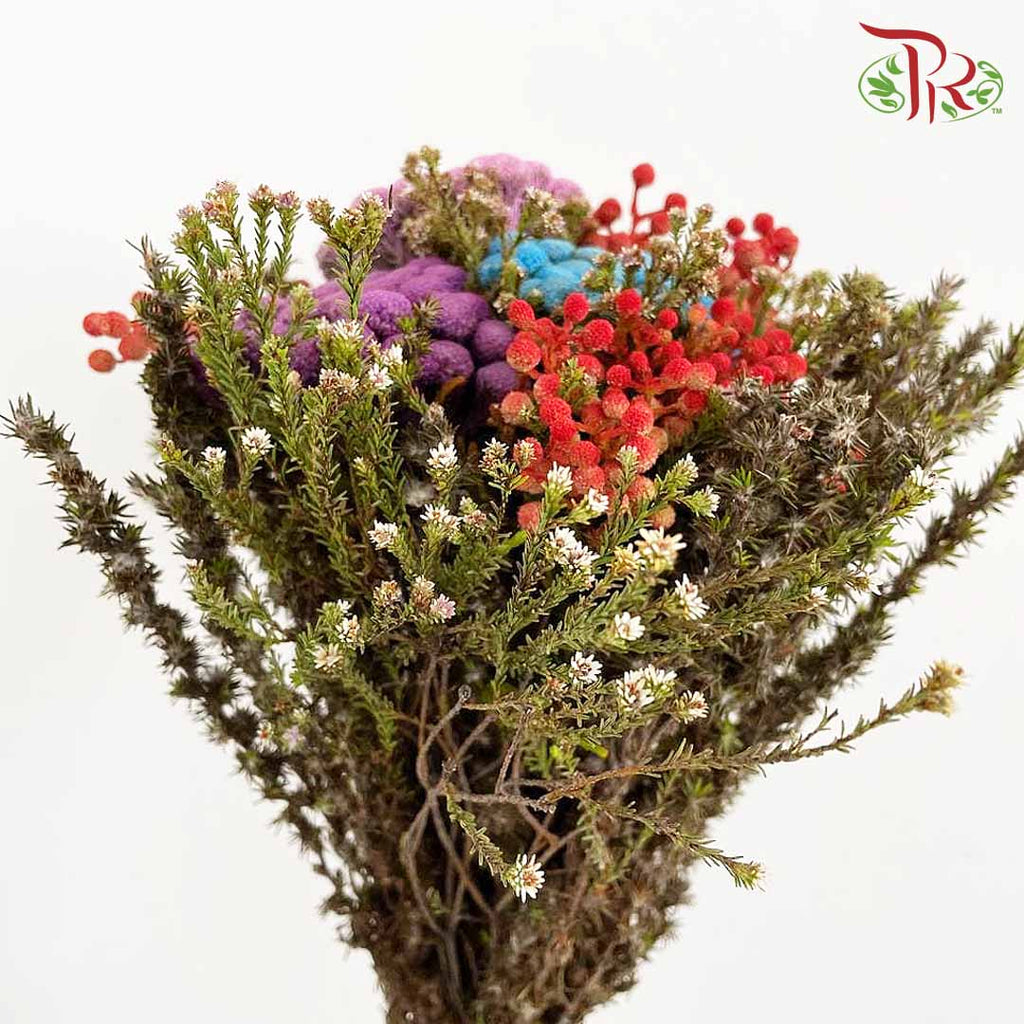 Safari Mix (Premium 3) - Pudu Ria Florist Southern