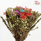 Safari Mix (Premium 3) - Pudu Ria Florist Southern