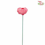 Dry Sola Rose Big - Pink - Pudu Ria Florist Southern