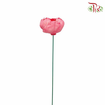 Dry Sola Rose Big - Pink - Pudu Ria Florist Southern