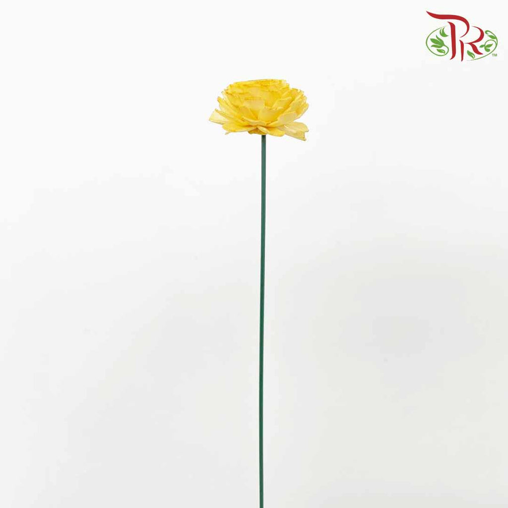 Dry Aeschynomene Aspera - Yellow - Pudu Ria Florist Southern