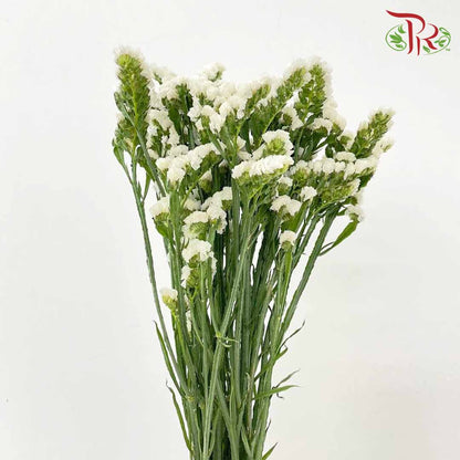 Statice White - Pudu Ria Florist Southern