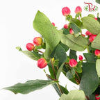 Berry Hypericum Red - Pudu Ria Florist Southern