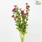 Hana Red - Pudu Ria Florist Southern