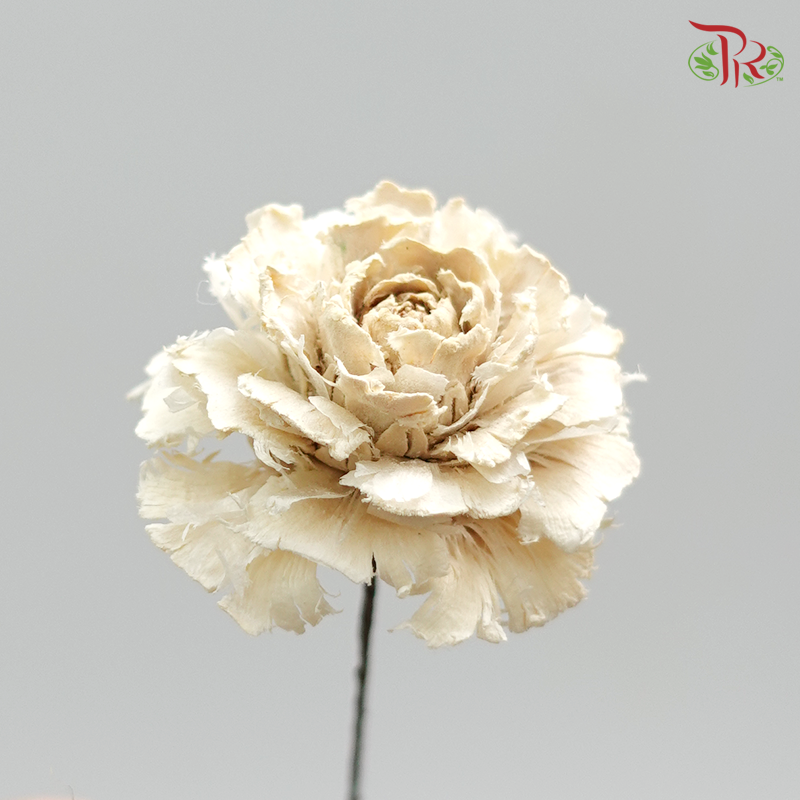 Preservative Cedar Rose - Pudu Ria Florist Southern
