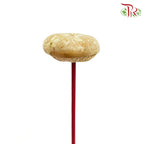Dry Mushroom - Offer Item - Pudu Ria Florist Southern