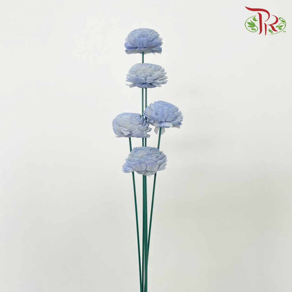 Dry Aeschynomene Aspera - Blue - Pudu Ria Florist Southern