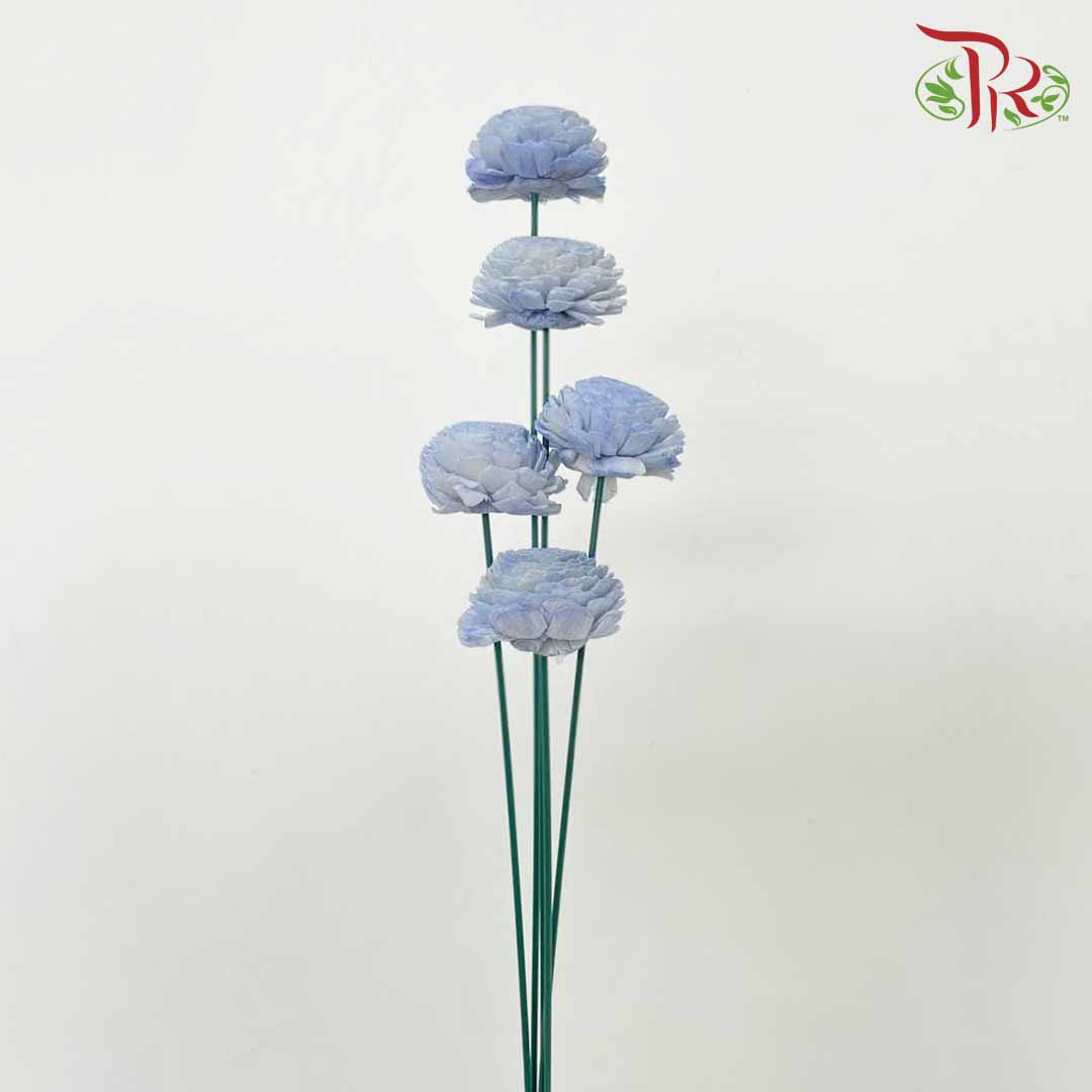 Dry Aeschynomene Aspera - Blue - Pudu Ria Florist Southern