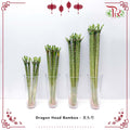 Dragon Head Bamboo 50CM - 龙头竹 - Pudu Ria Florist Southern