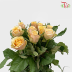 Rose Golden Mustard (8-10 Stems) - Pudu Ria Florist Southern