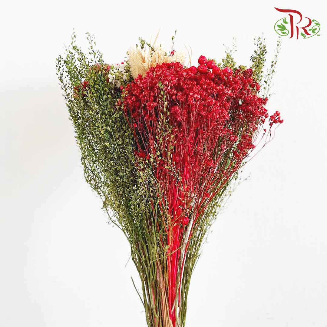 Dry Bouquet - Red And Green - Pudu Ria Florist Southern