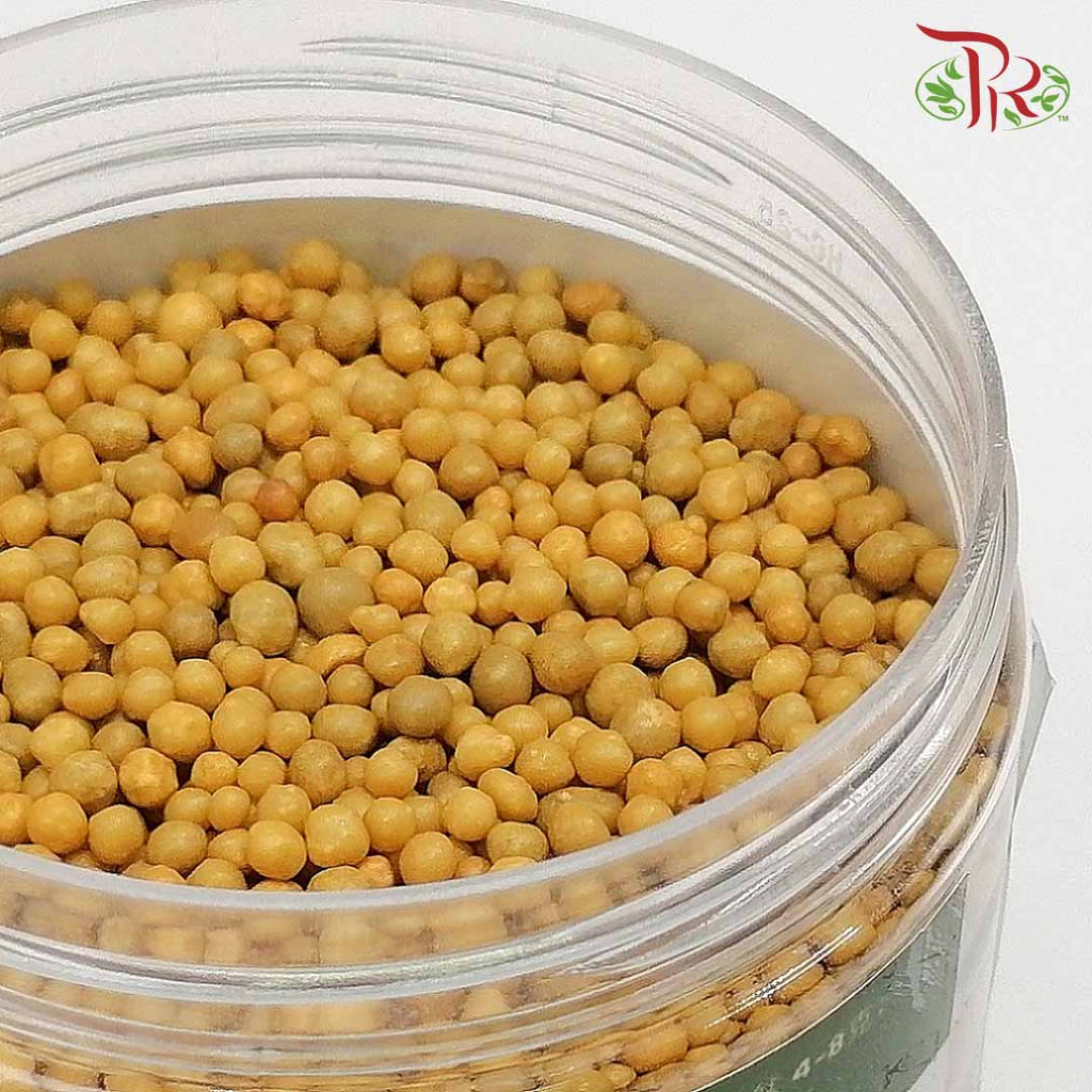 Plant Fertilizer No 1 (Osmocote) - 250g - Pudu Ria Florist Southern