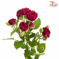 Rose Spray Bloodred Bubble (8-10 Stems) - Pudu Ria Florist Southern