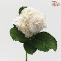 Hydrangea White / Per Stem - Pudu Ria Florist Southern