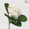 Hydrangea White / Per Stem - Pudu Ria Florist Southern