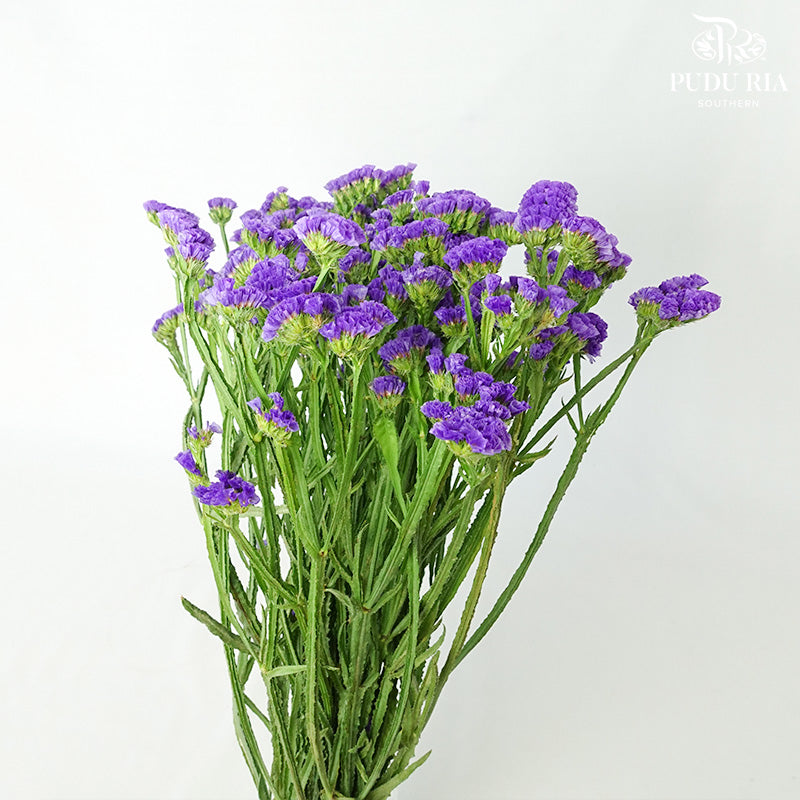 Statice Purple - Pudu Ria Florist Southern
