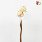 Dry Lotus Lantern - Pudu Ria Florist Southern