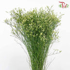 Caspia Yellow - Pudu Ria Florist Southern