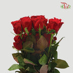 Rose Red (19-20 Stems) - Pudu Ria Florist Southern