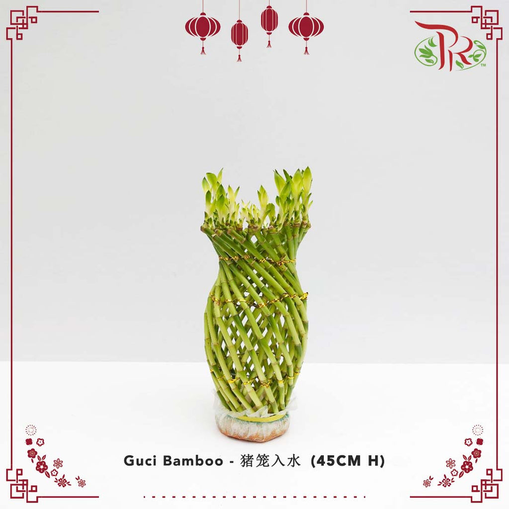 Guci Bamboo (猪笼入水) - 45CM (H) - Pudu Ria Florist Southern
