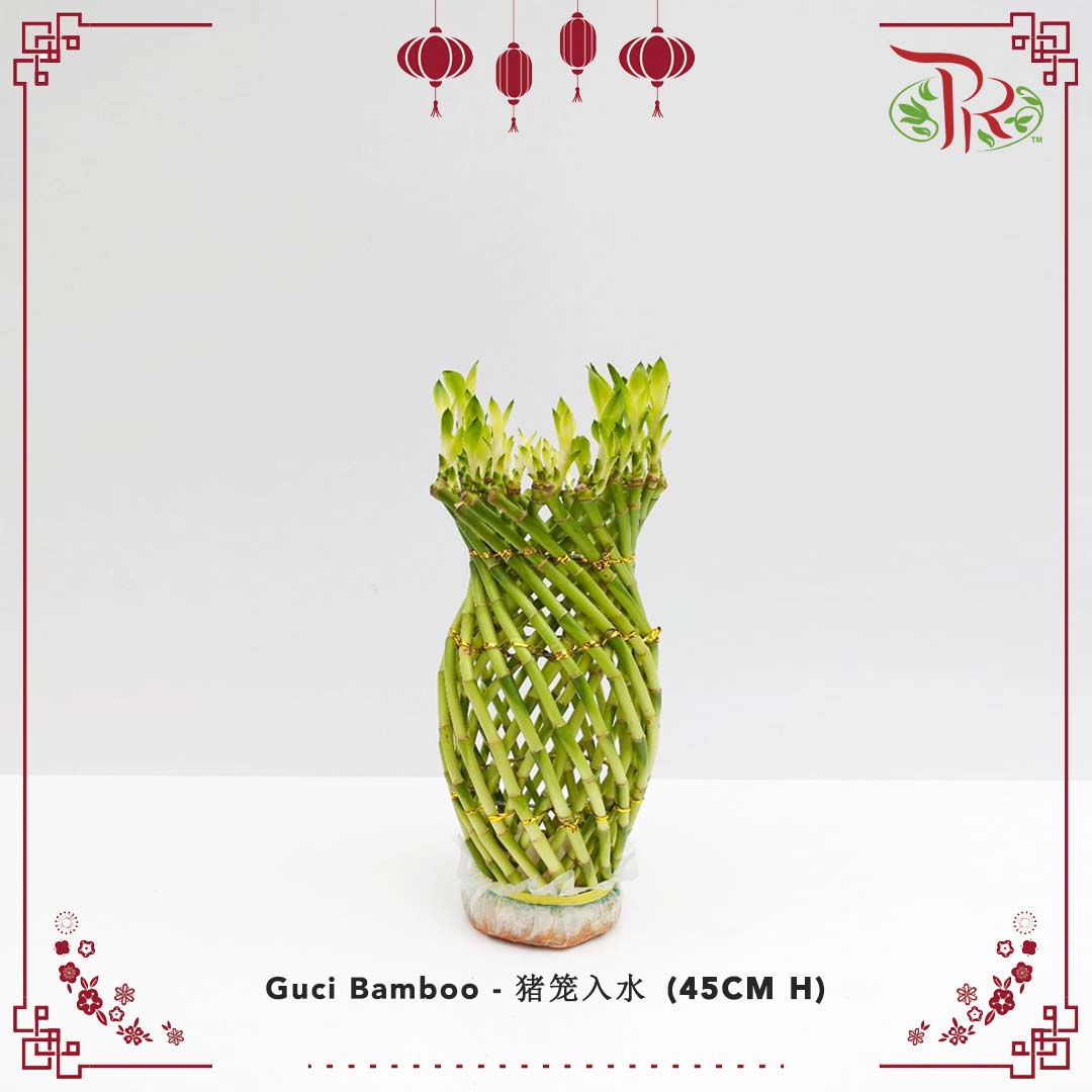 Guci Bamboo (猪笼入水) - 45CM (H) - Pudu Ria Florist Southern