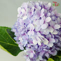 Hydrangea Purple / Per Stem - Pudu Ria Florist Southern