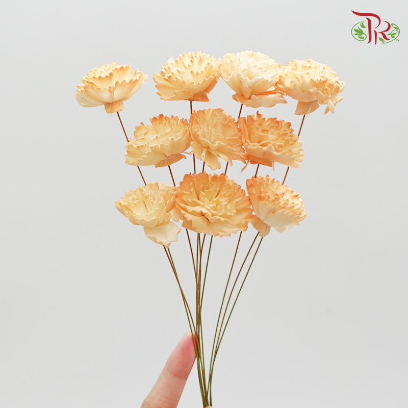 Preservative Sola Chiffon Carnation - Orange - Pudu Ria Florist Southern