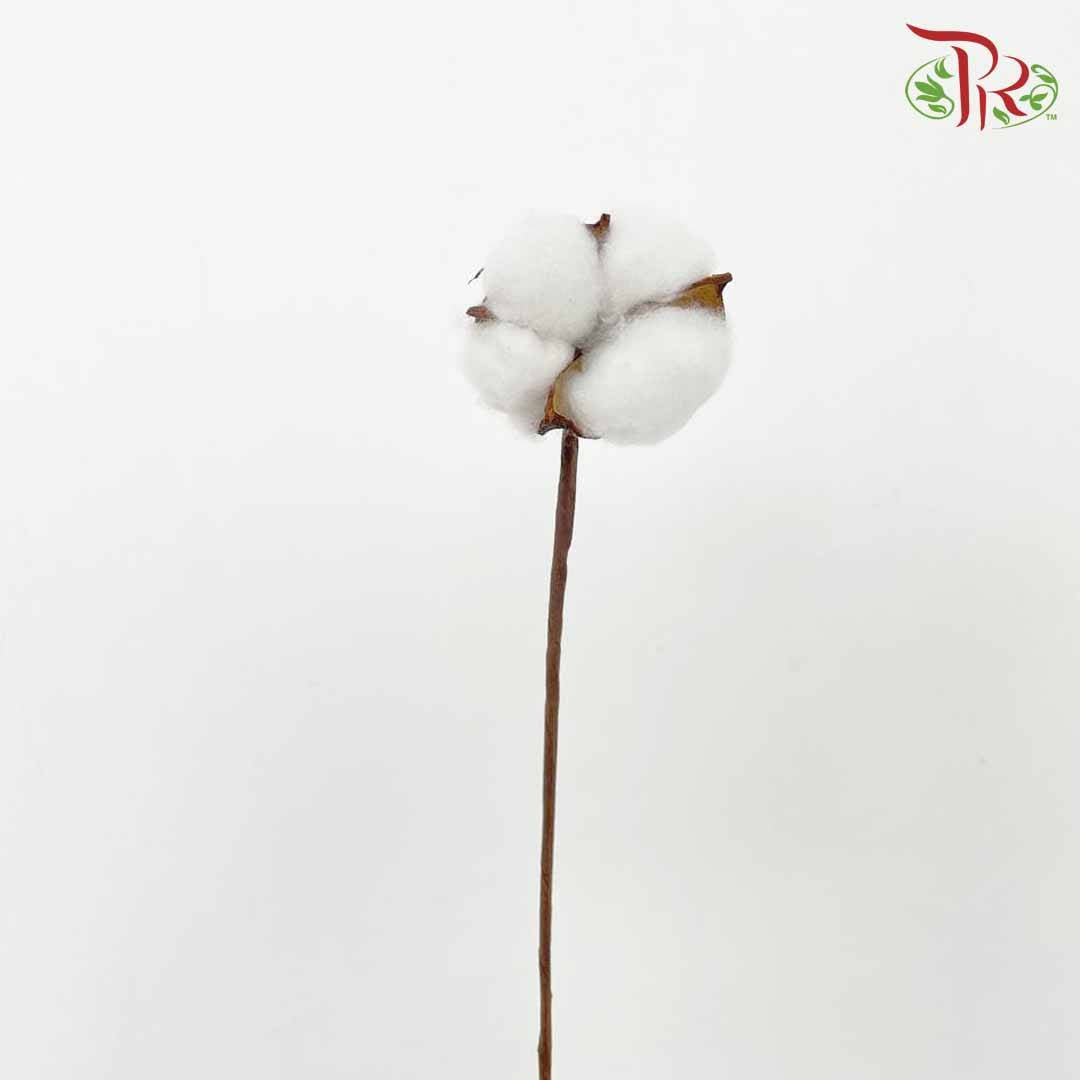 Artificial Cotton Flower - White - Pudu Ria Florist Southern