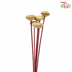 Dry Mushroom - Offer Item - Pudu Ria Florist Southern