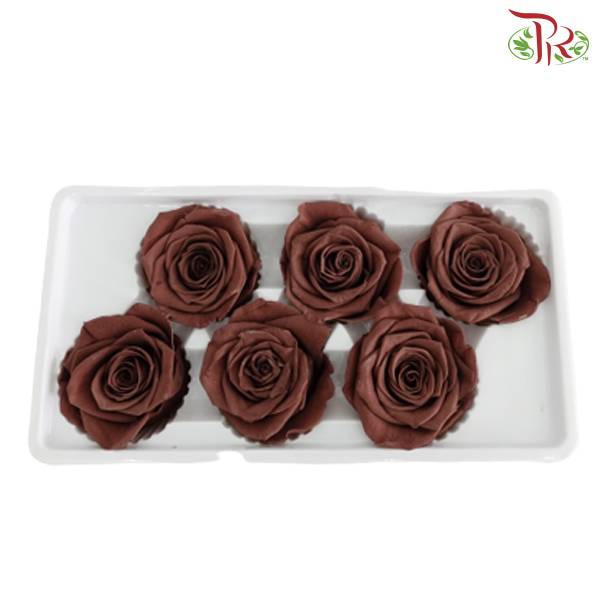 6 Bloom Preservative Rose - Dark Brown - Pudu Ria Florist Southern