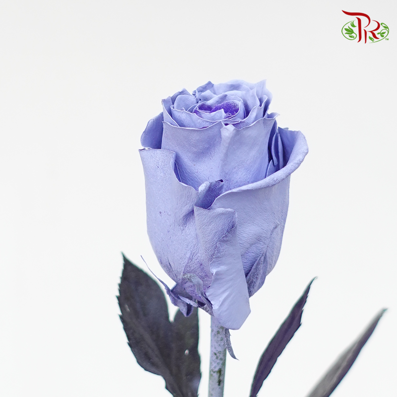 Rose Light Lavender (8-10 Stems) - Pudu Ria Florist Southern