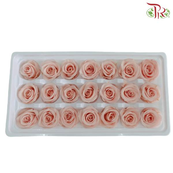 21 Bloom Preservative Rose - Light Peach - Pudu Ria Florist Southern