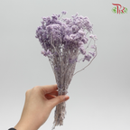 Preservative Helichrysum Crispum - Purple - Pudu Ria Florist Southern